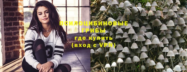 ПСИЛОЦИБИНОВЫЕ ГРИБЫ Нефтекумск