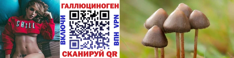 Галлюциногенные грибы Psilocybine cubensis  дарнет шоп  Чегем 